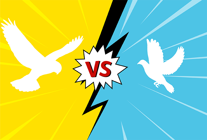 Hawk versus dove