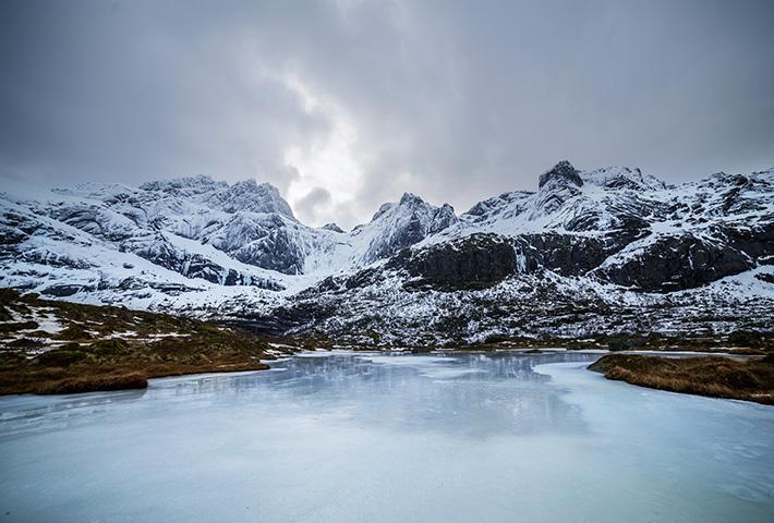 Winter landscape